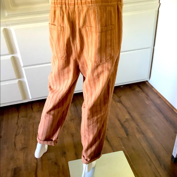 Anthropologie Terracotta Pants - Picture 10 of 16